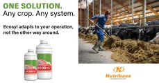 Ecosyl | One Solution for Any Crop and Any System | Nutribase
