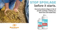 Feed More, Waste Less | Eliminate Silage Spoilage with Ecocool | Nutribase