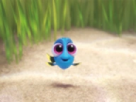 Customer profile picture