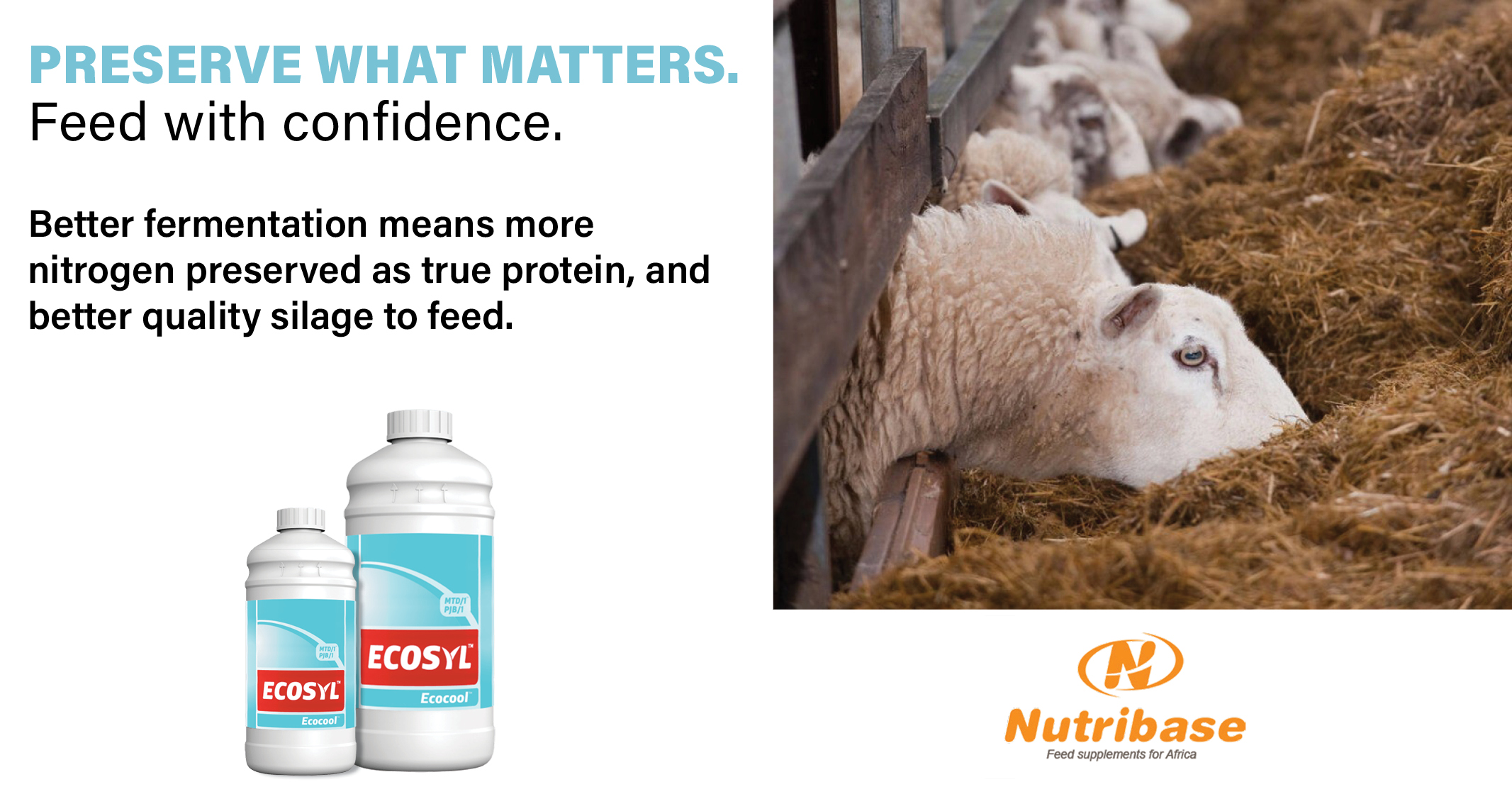 Ecocool | The Gold Standard in Silage Preservation | Nutribase