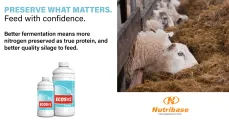 Ecocool | The Gold Standard in Silage Preservation | Nutribase