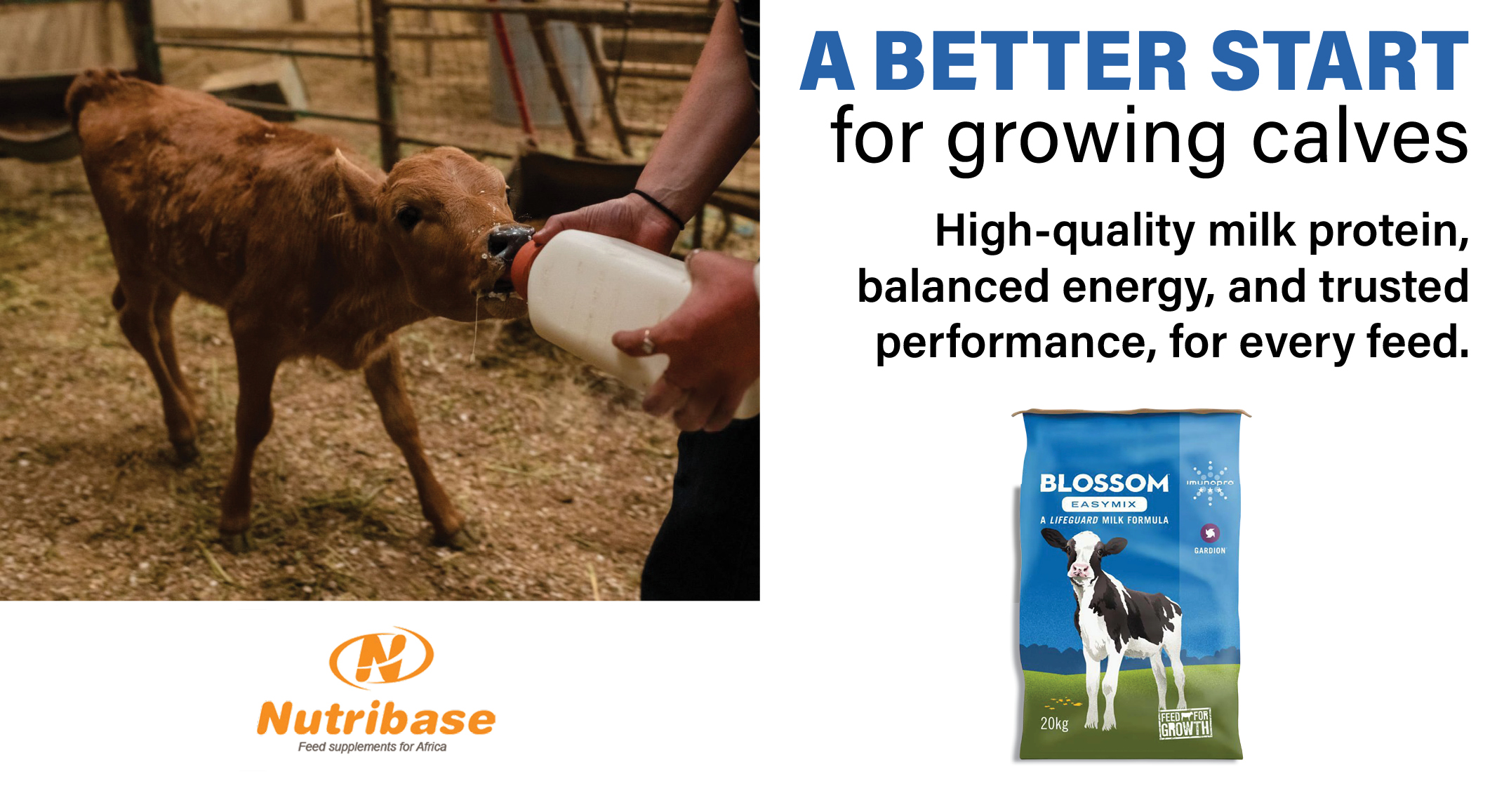 Blossom Easymix: High-Quality Protein for Maximum Growth | Nutribase