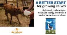 Blossom Easymix: High-Quality Protein for Maximum Growth | Nutribase