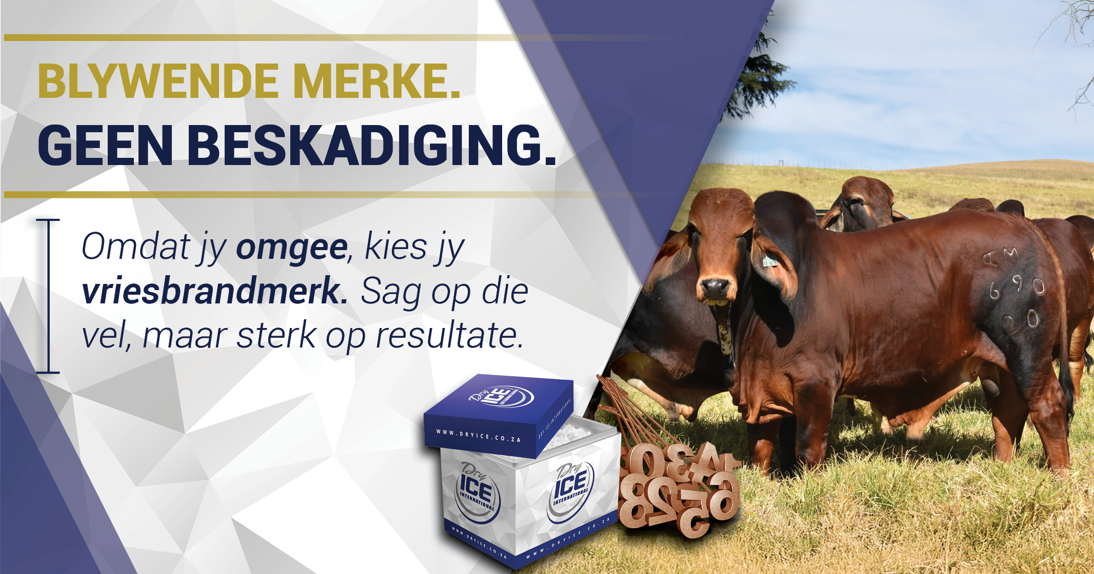Sag op die Vel, Sterk op Resultate: Die Vriesbrandmerk Oplossing | Dry Ice 4 Farming