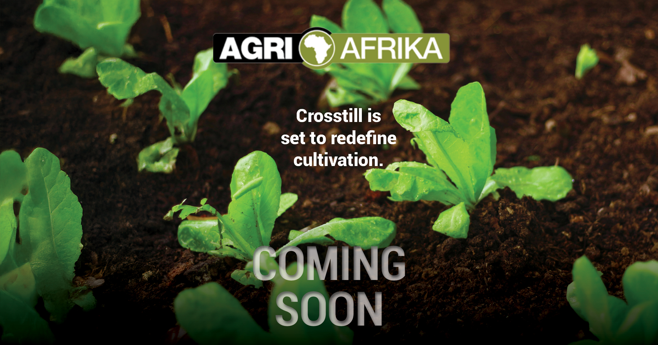 Crosstill is set to redefine cultivation | Agri Afrika 
