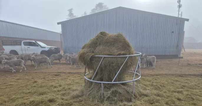 SALE | Cattle Bale rings! | Valid 2 February 2026 - 15 March 2026 | Steel Tube & Pipe Profiles