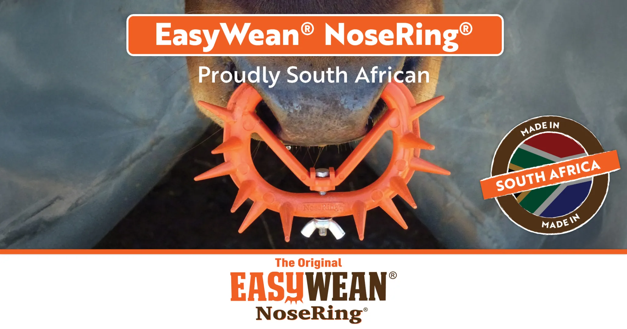  EasyWean® NoseRing® Proudly South African | EASYWEAN® NoseRing