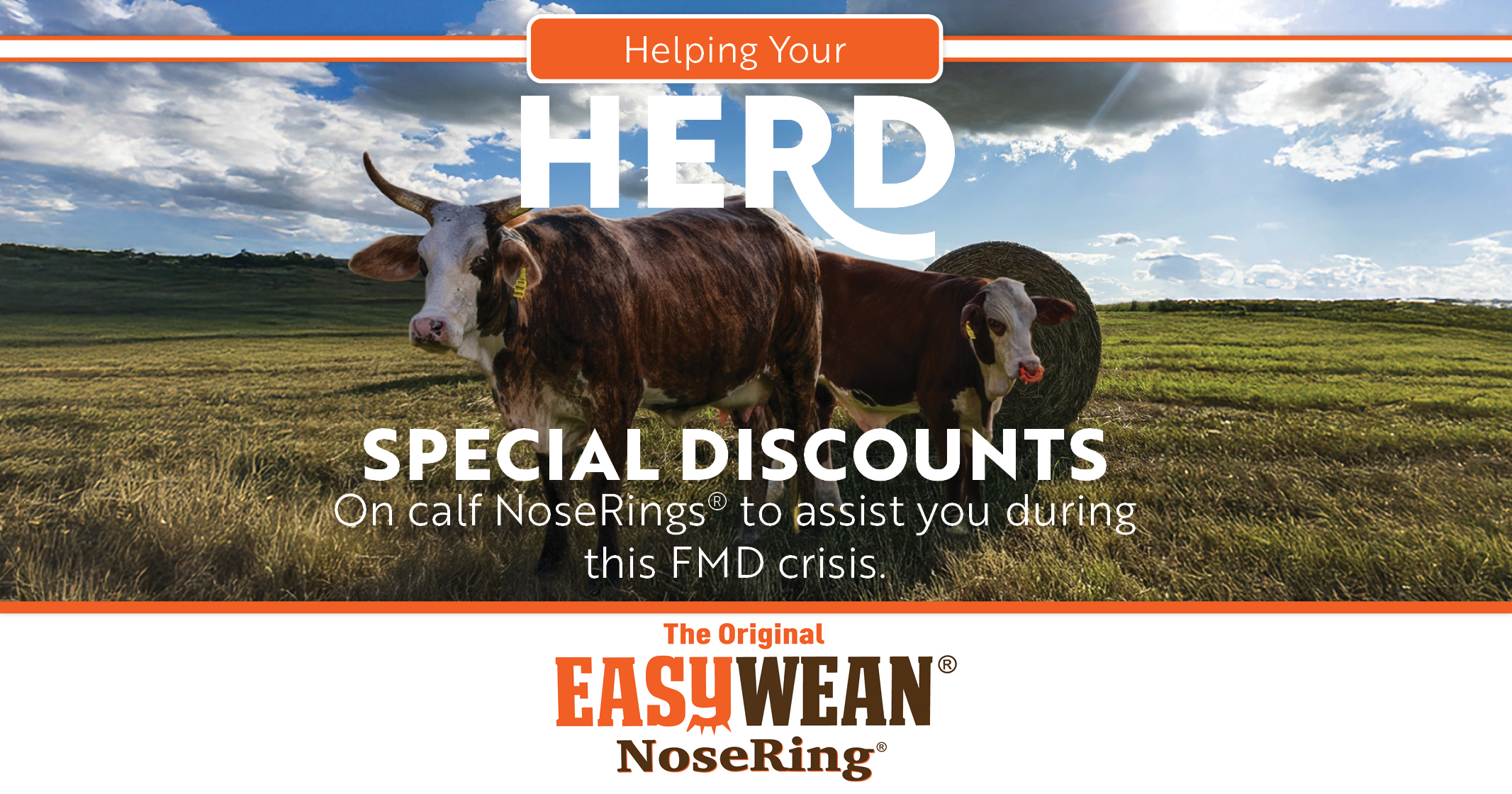 SPECIAL DISCOUNTS | On calf NoseRings® to assist you during this FMD crisis | EasyWean® NoseRings