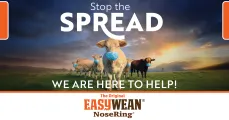 Stop the SPREAD. WE ARE HERE TO HELP! | EASYWEAN® NoseRing