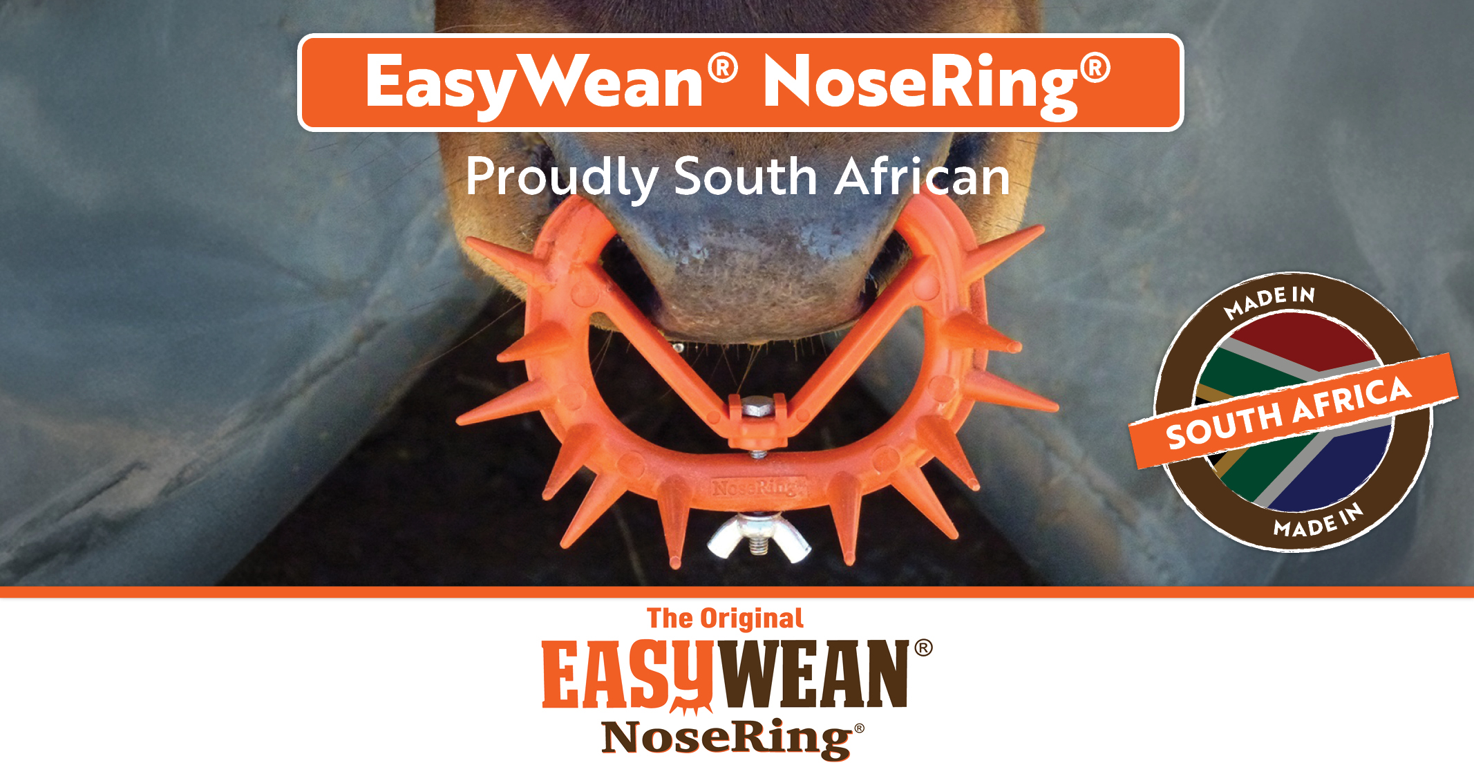 EasyWean® NoseRing® Proudly South African | EASYWEAN® NoseRing