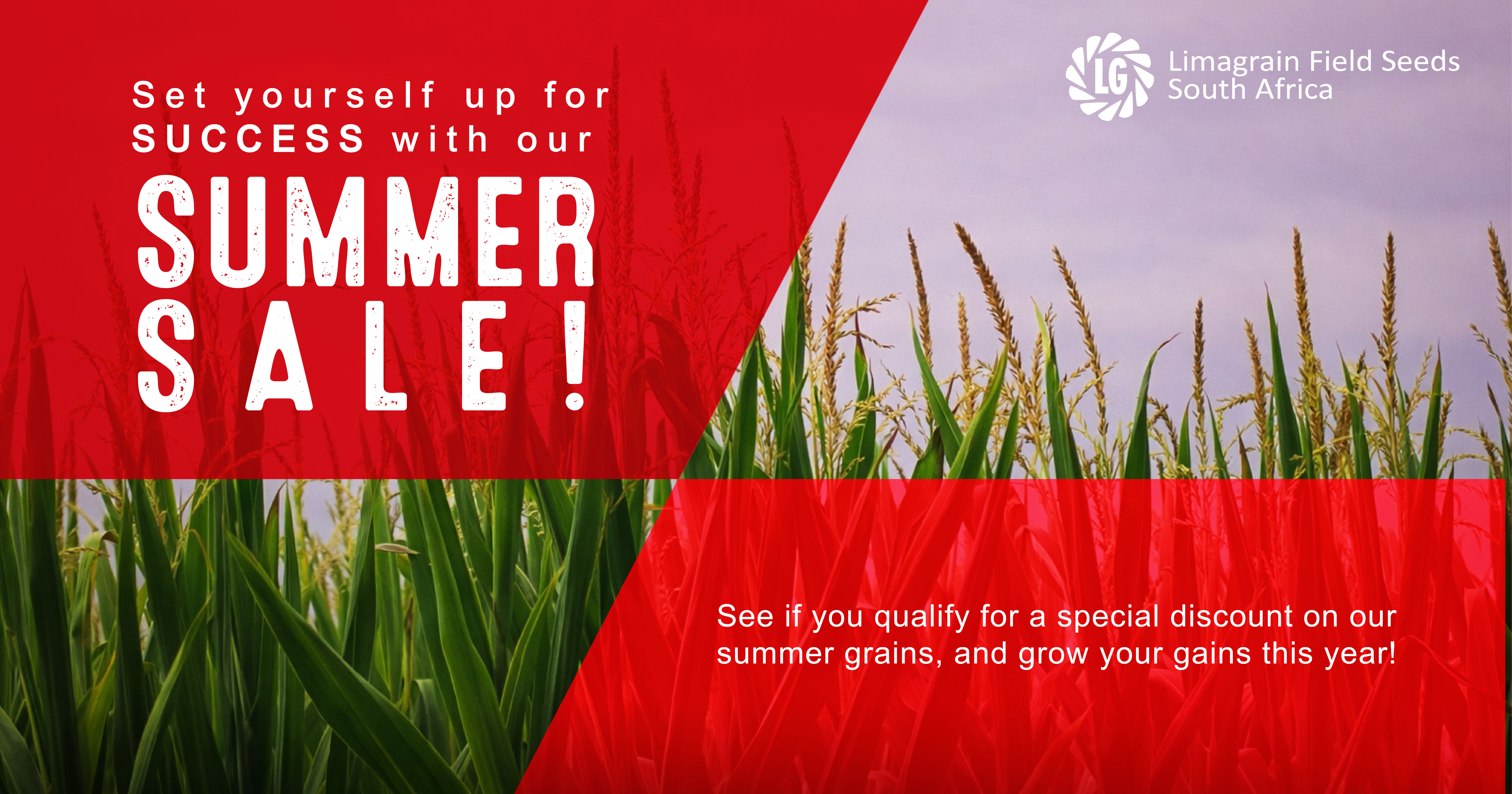 Limagrain Field Seeds: High-performance summer grains | Summer sale 