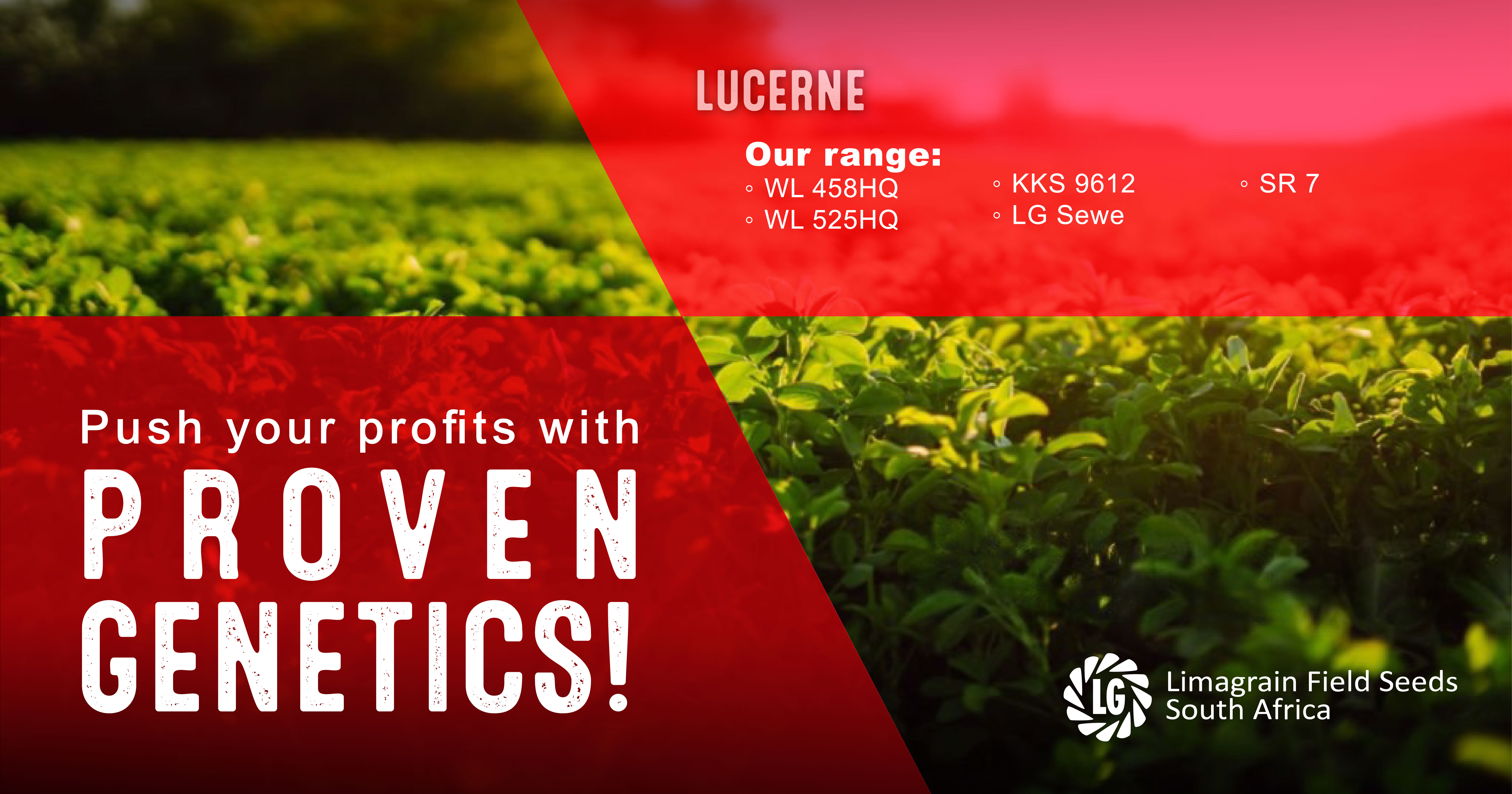 Lucerne – Push your profits with proven genetics | Limagrain Field Seeds