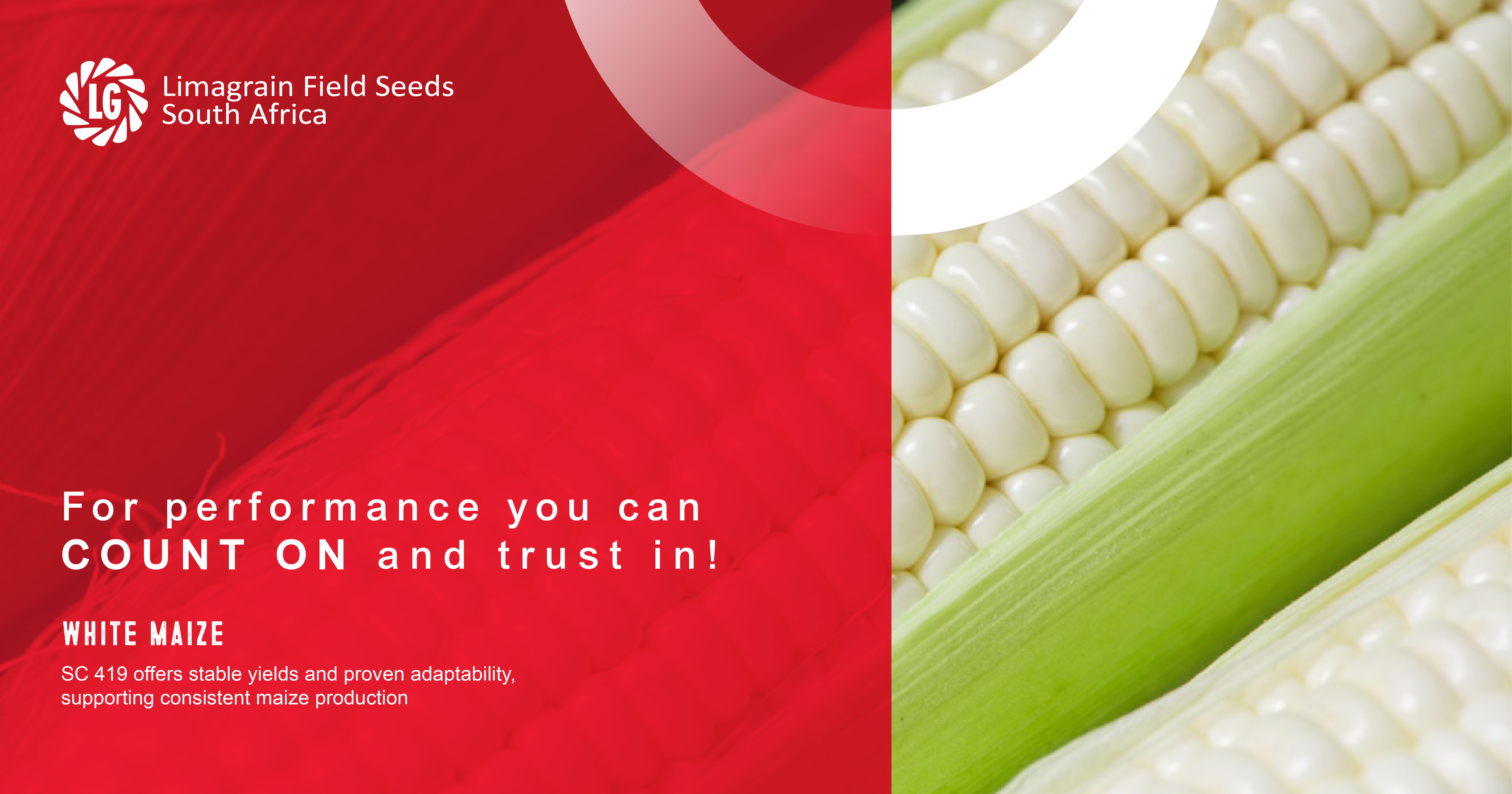White maize cultivars you can trust to perform | Limagrain Field Seeds