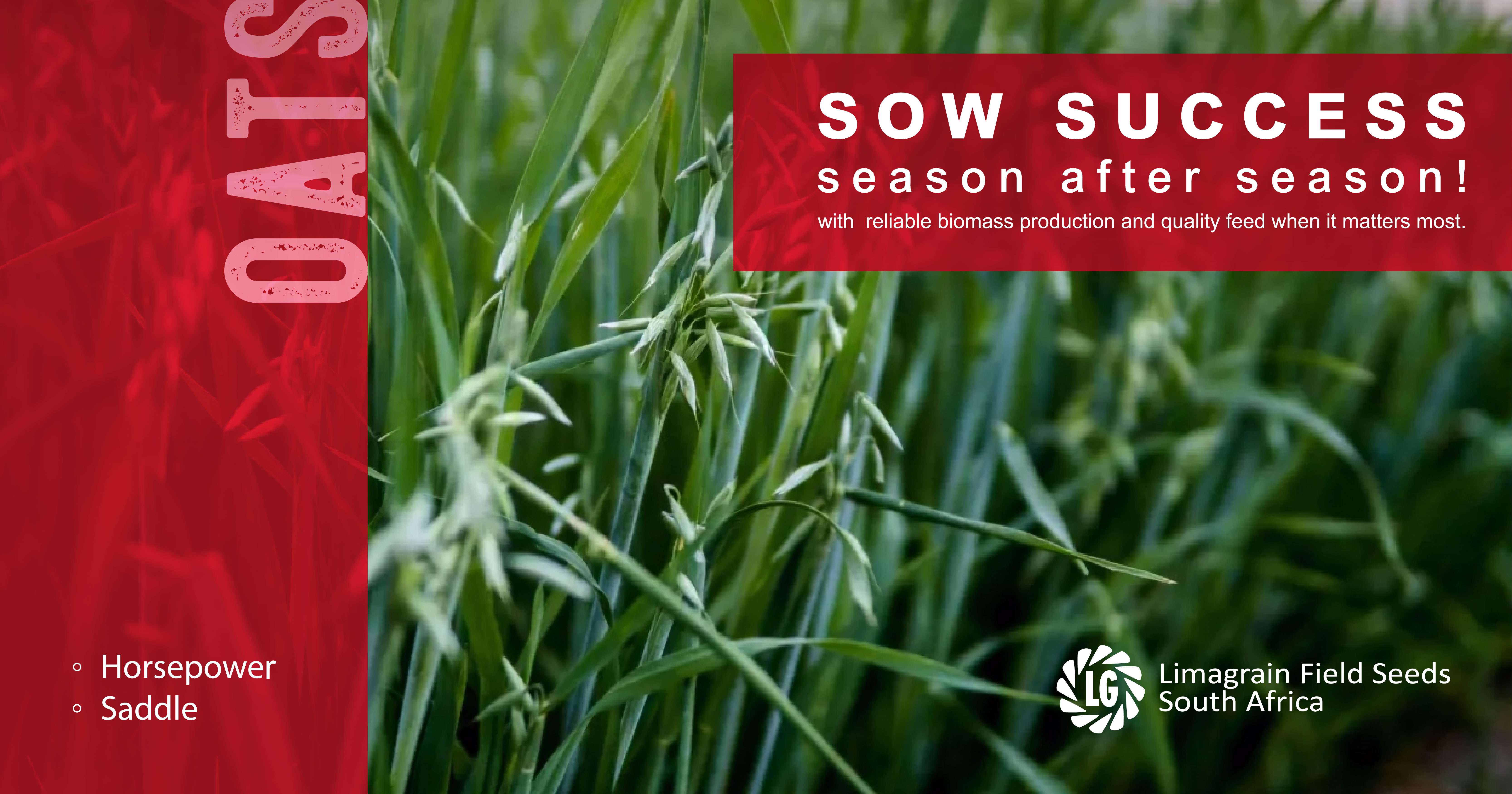 Forage oats for reliable feed production | Limagrain Field Seeds