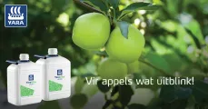 Kies YaraVita™ STOPIT en CALTRAC vir appels wat uitblink! | Yara Africa Fertiliser