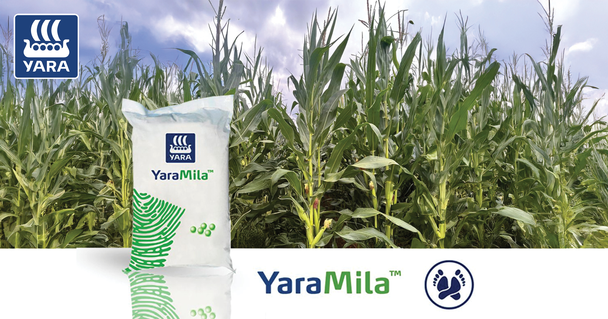 Betroubare voeding vir volhoubare groei - YaraMila™ | Yara Africa Fertiliser