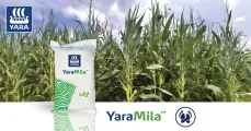 Betroubare voeding vir volhoubare groei - YaraMila™ | Yara Africa Fertiliser