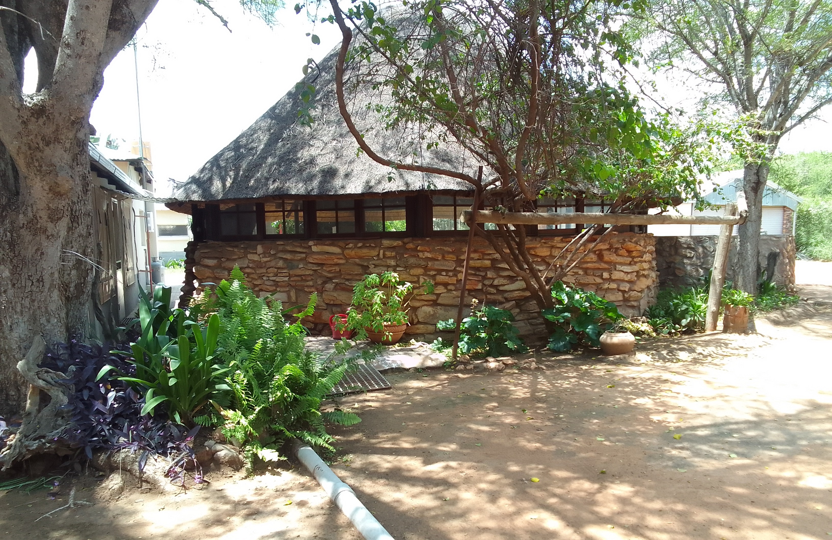 1750Ha Plaas met 800m Landingstrook, Wild en Lewende Hawe Ingesluit | Swartwater, Limpopo