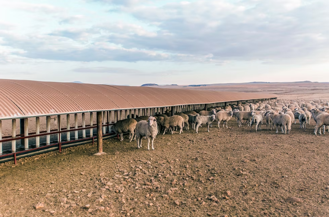 Adjustable feed dispensers | RSA Grain Storage Solutions