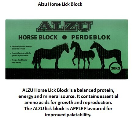 Alzu Horse Lick Block | Horse block | Outdoor Innovation
