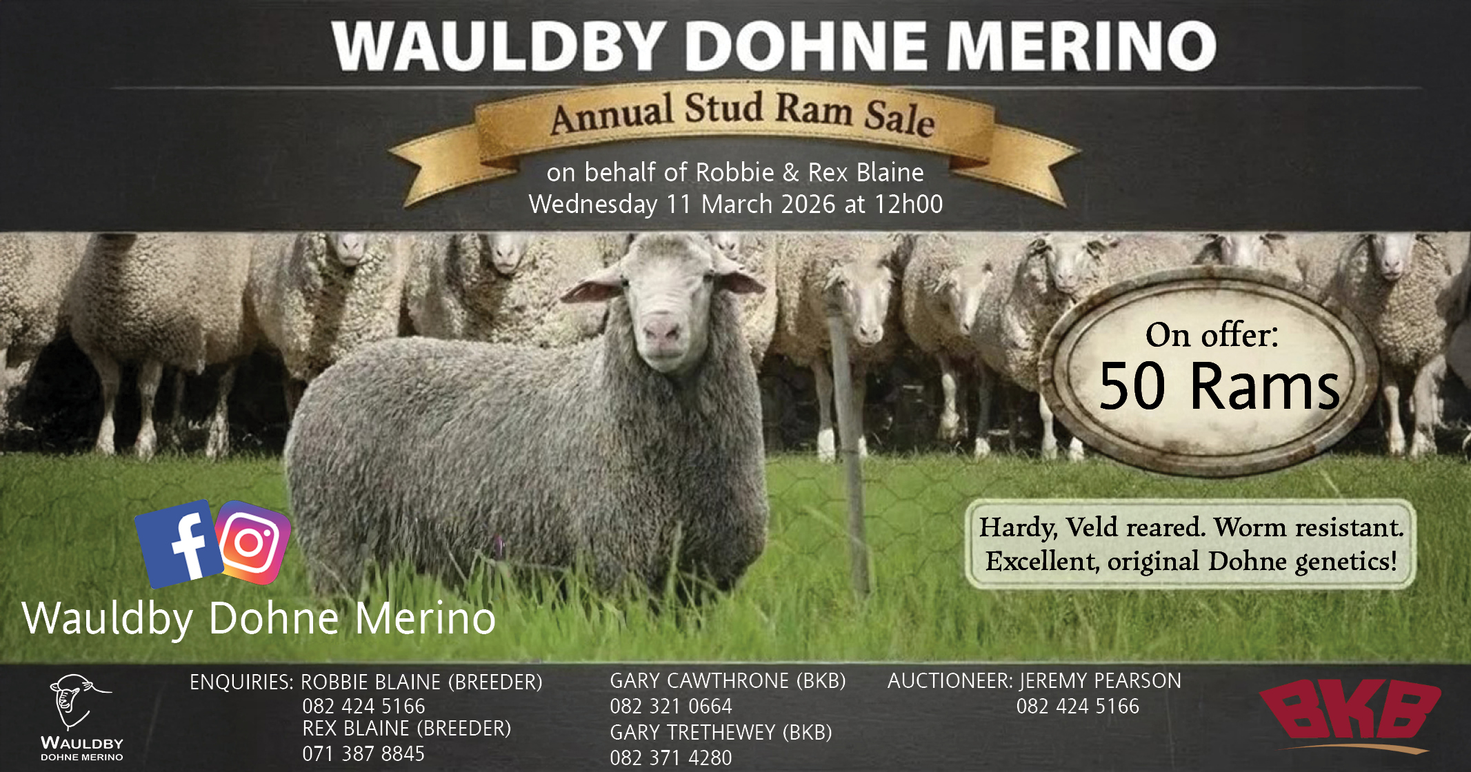 Wauldby Dohne Merino annual stud ram sale | 11 March 2026 | Wauldby Farm, Stutterheim