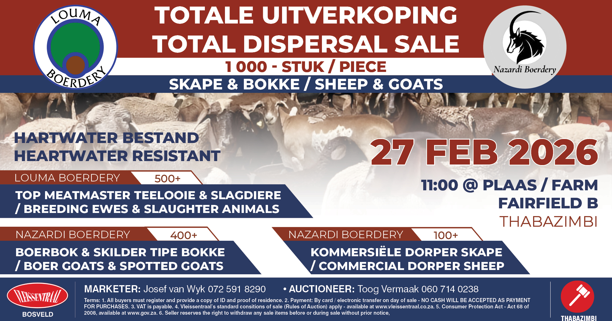 Louma Boerdery & Nazardi Boerdery sheep & goat total dispersal sale | 27 February 2026 |  Thabazimbi