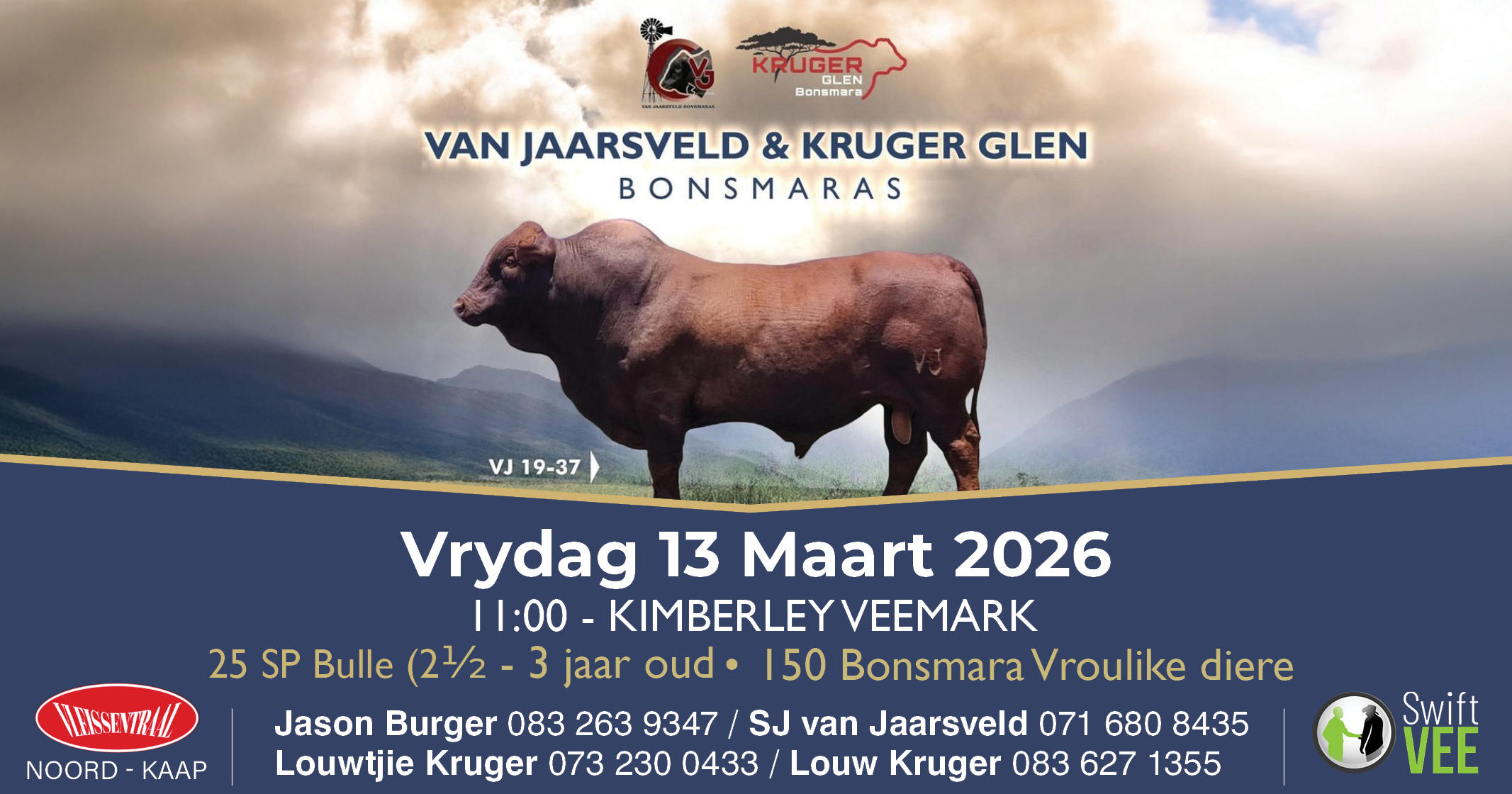 Van Jaarsveld & Kruger Glen Bonsmaras veiling | 13 Maart 2026 | Kimberly Veemark 