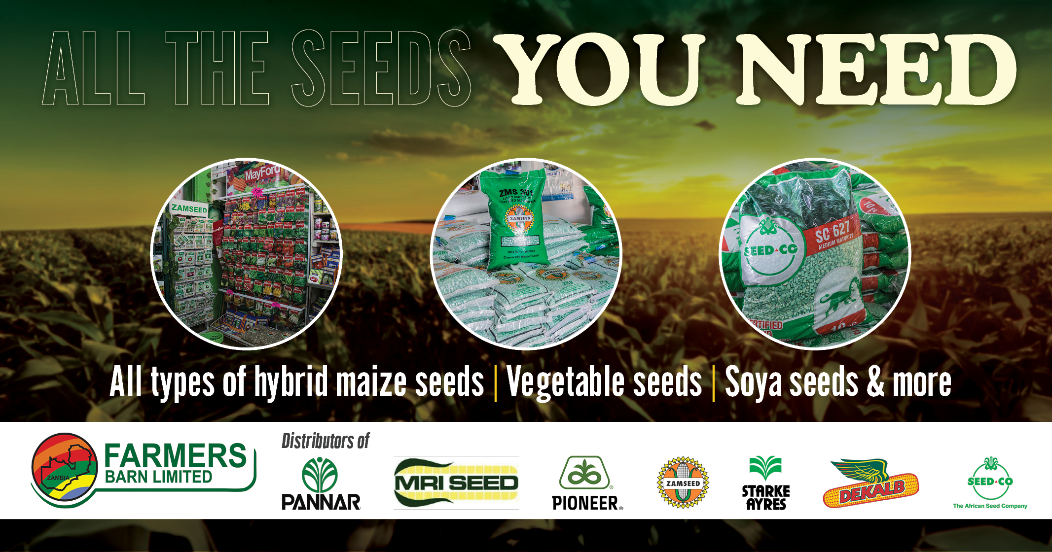 All the seeds YOU NEED  | Farmers Barn Ltd