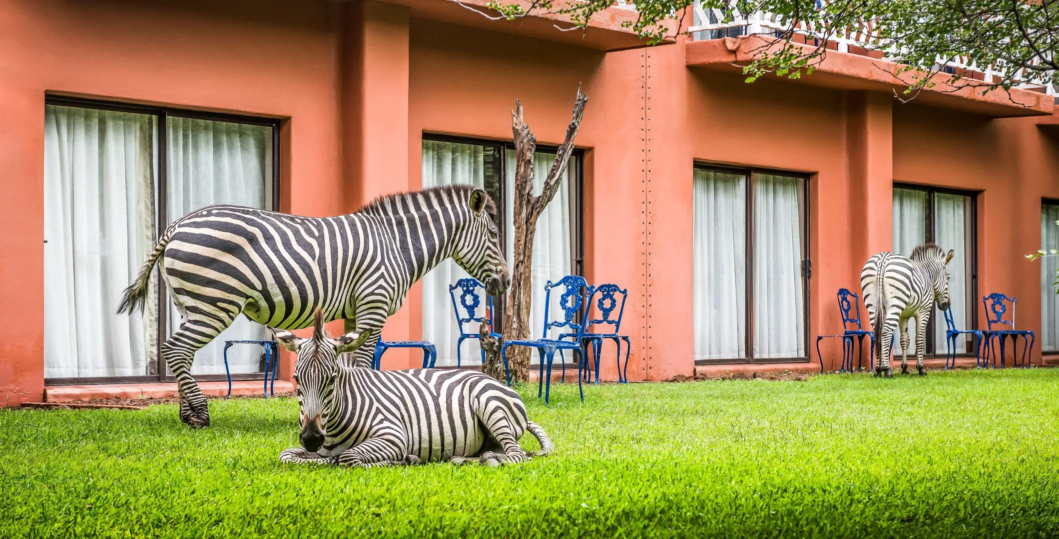 Avani Victoria Falls Resort (May 7, 2026 to Aug 3, 2026) | XL Boland Travel 