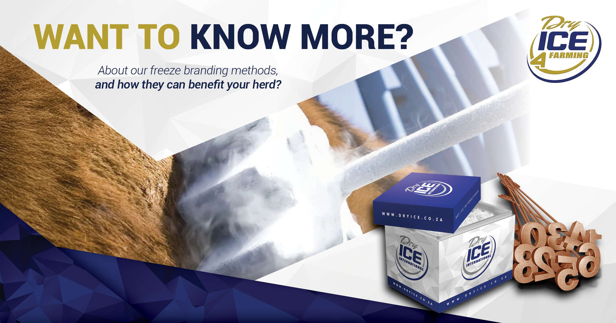 Discover the Benefits of Dry Ice Branding | Dry Ice 4 Farming