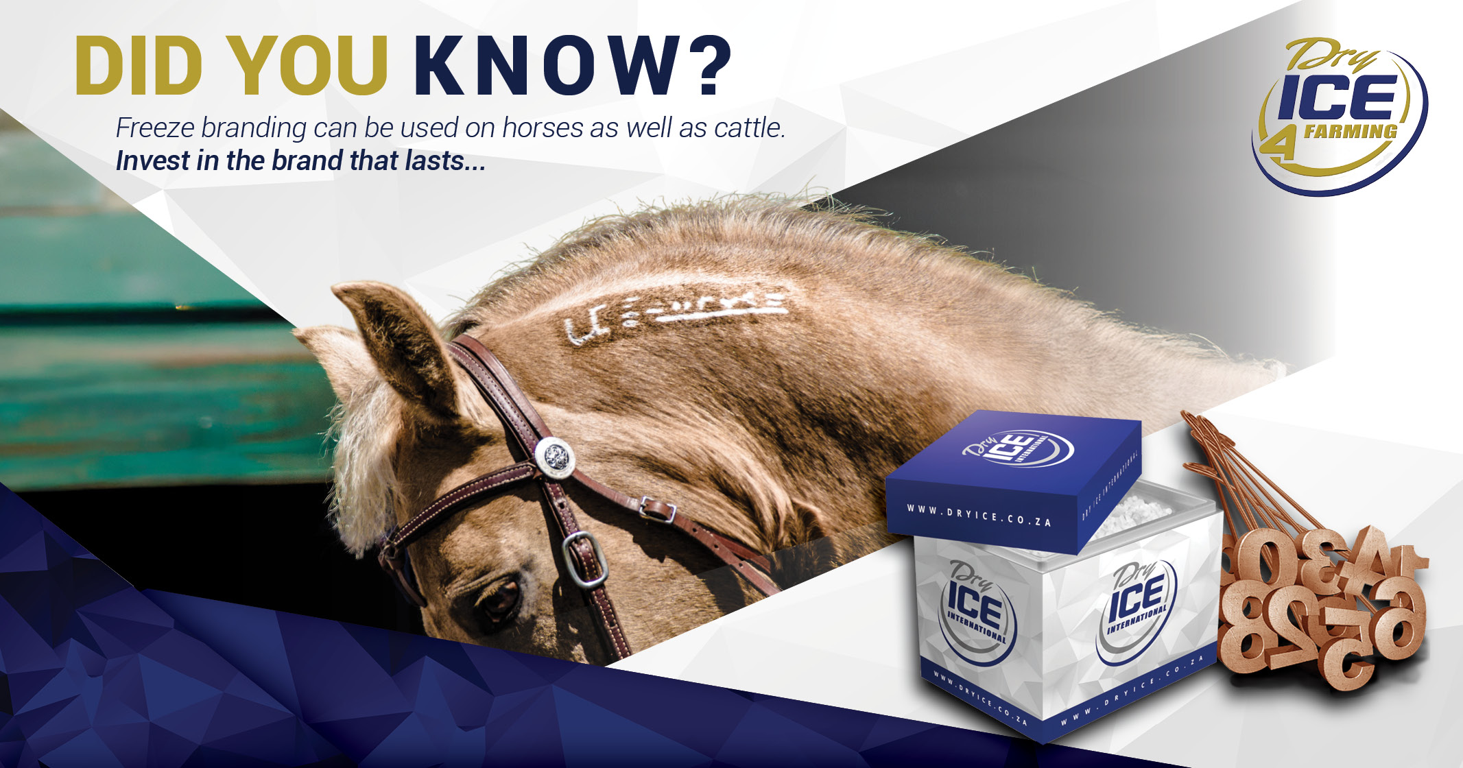 Professional Branding for Horses and Cattle | Dry Ice 4 Farming