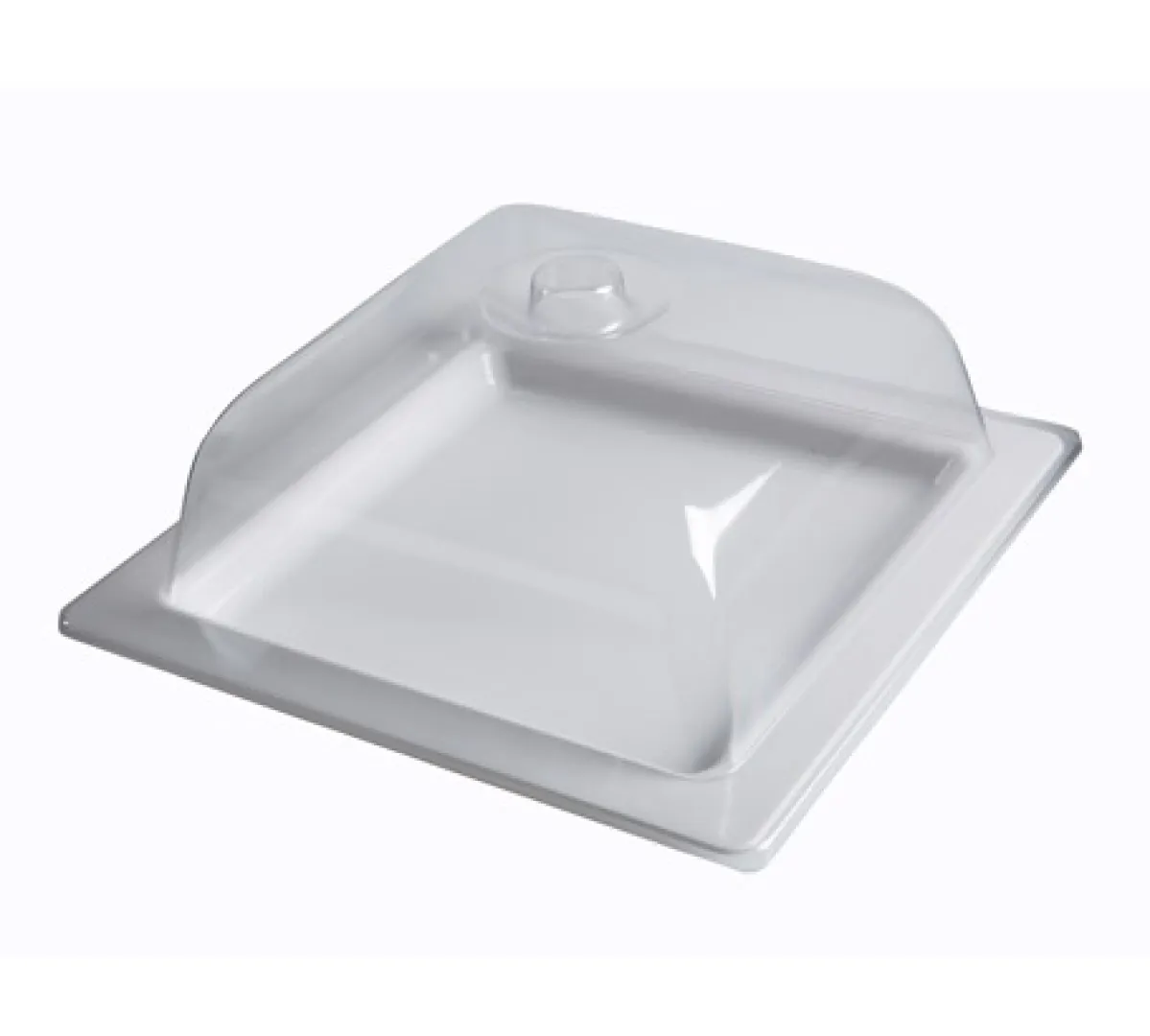 Square Tray Dome | Blue Swallow