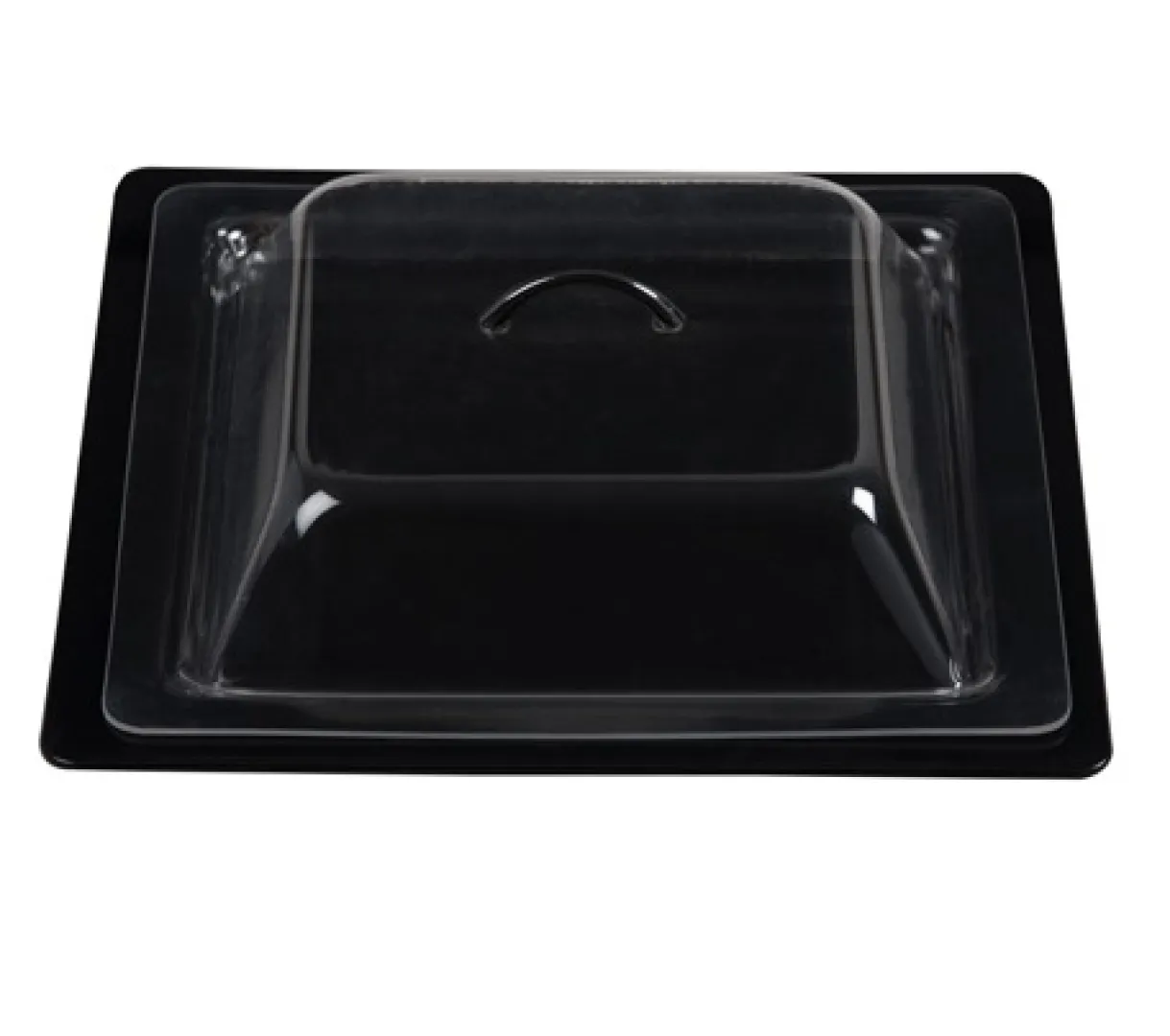 Square Tray Dome black | Blue Swallow