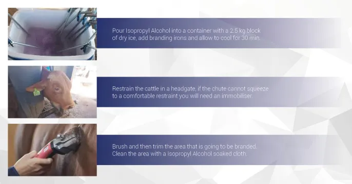 THE STEP-BY STEP Guide that sets you up for success! | Dry Ice 4 Farming