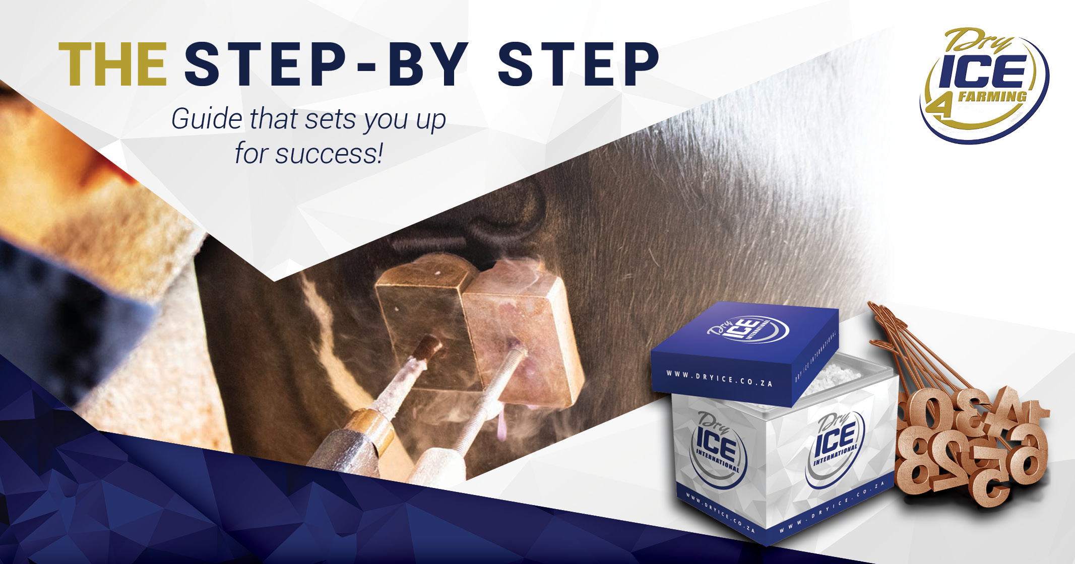 THE STEP-BY STEP Guide that sets you up for success! | Dry Ice 4 Farming