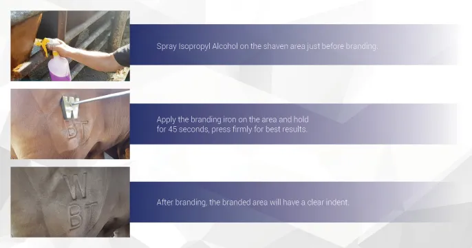 THE STEP-BY STEP Guide that sets you up for success! | Dry Ice 4 Farming