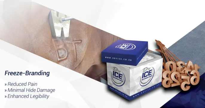 DO YOU KNOW THE DIFFERENCE BETWEEN Hot-Iron branding V.S. Freeze-Branding? | Dry Ice 4 Farming