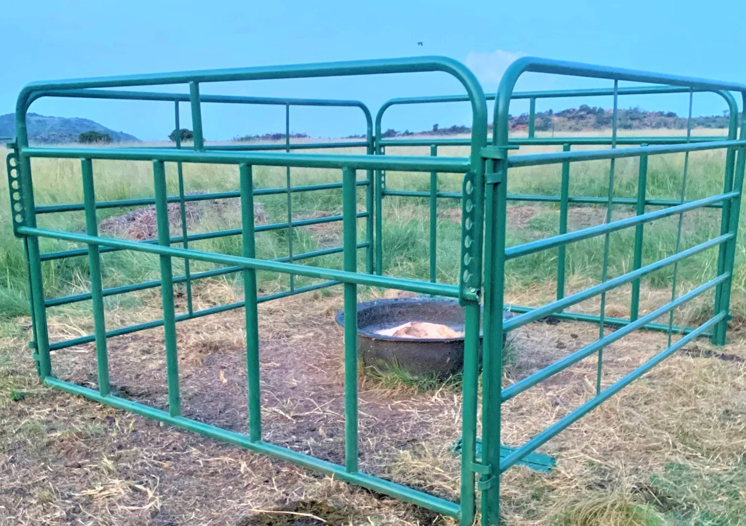 ADJUSTABLE CATTLE CREEP FEED GATE