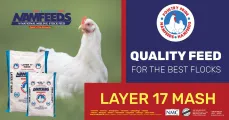 Layer 17 mash | Namfeeds National Milling stock feed