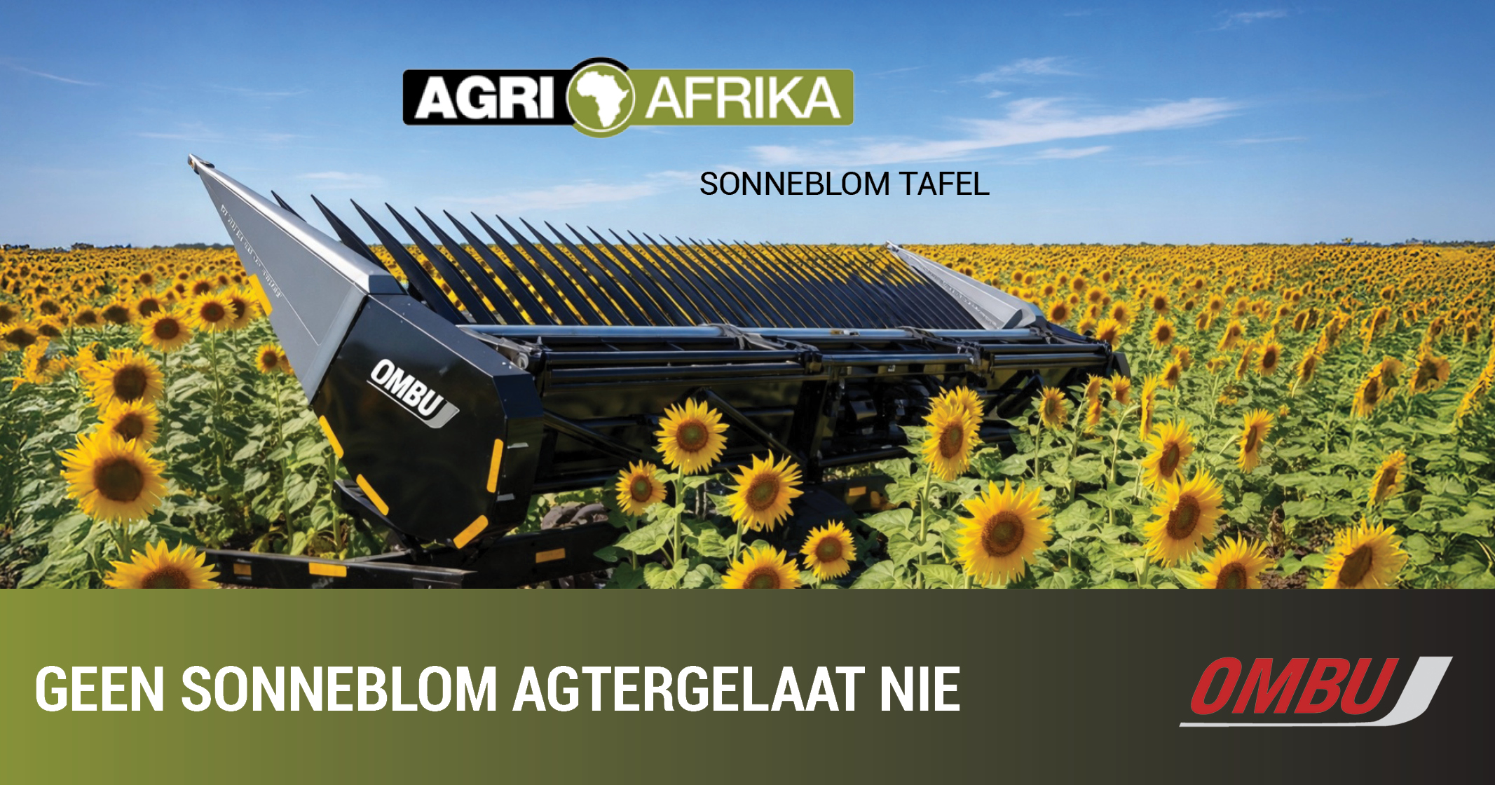 Die Ombu-sonneblomtafel | Geen sonneblom agtergelaat nie | Agri Afrika
