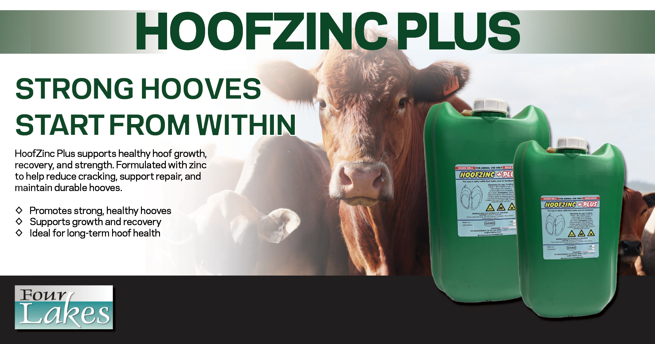 Hoofzinc Plus | Strong hooves start from within | Four Lakes
