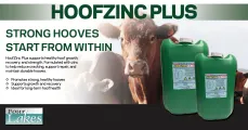 Hoofzinc Plus | Strong hooves start from within | Four Lakes