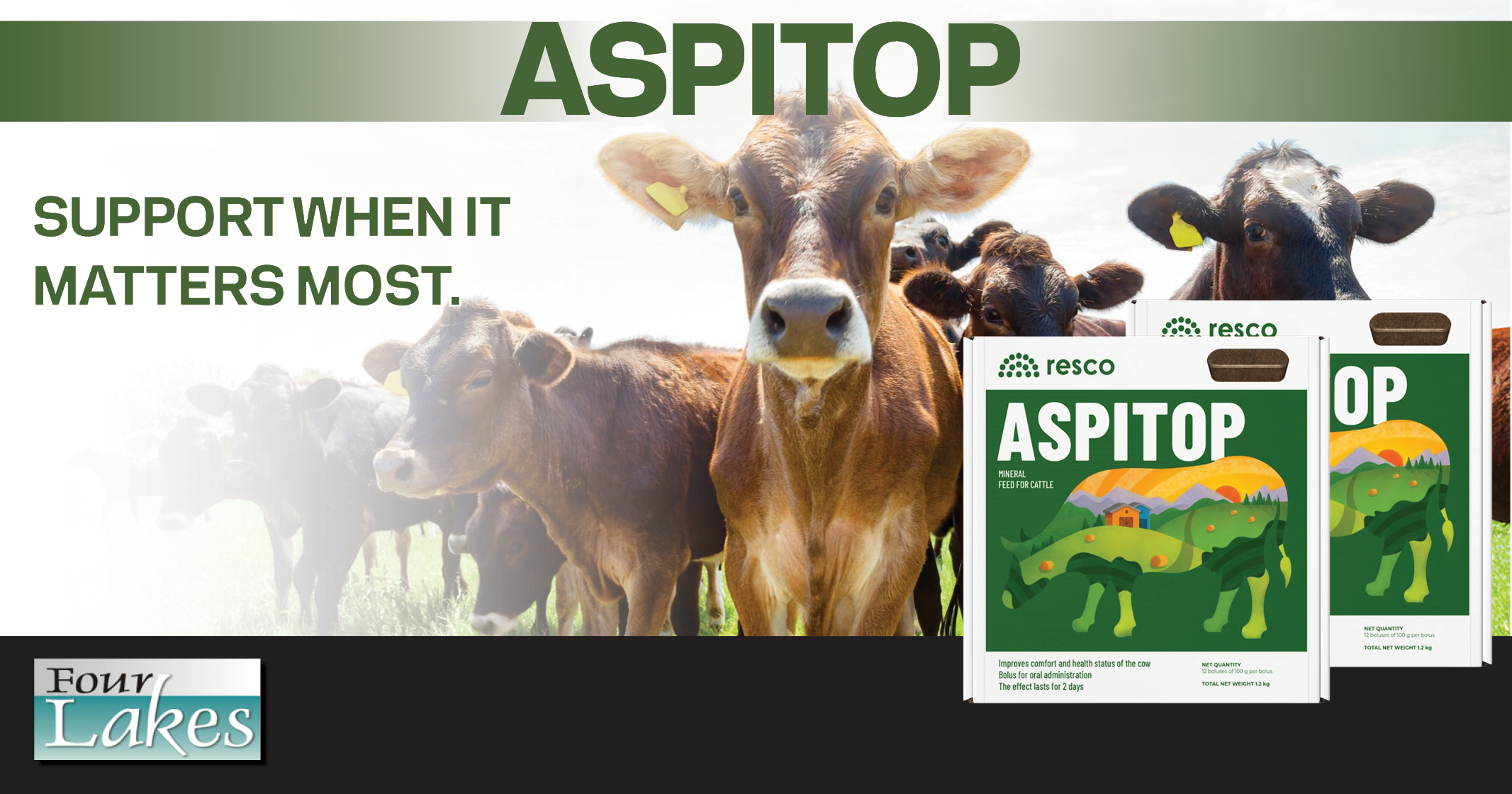 Aspitop | Support When It Matters Most | Four Lakes