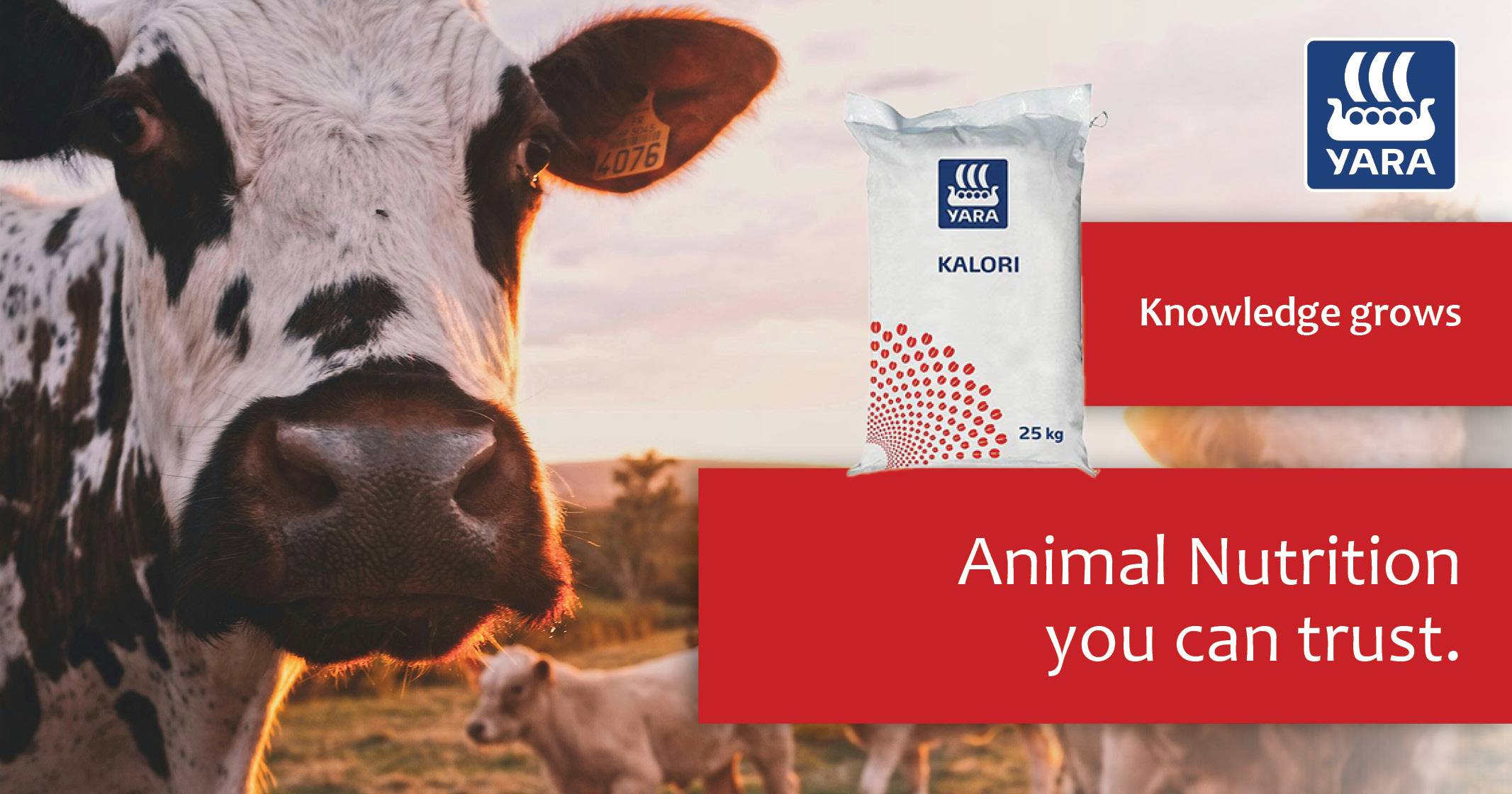 Kalori 3000 animal nutrition you can trust | YARA Animal Nutrition