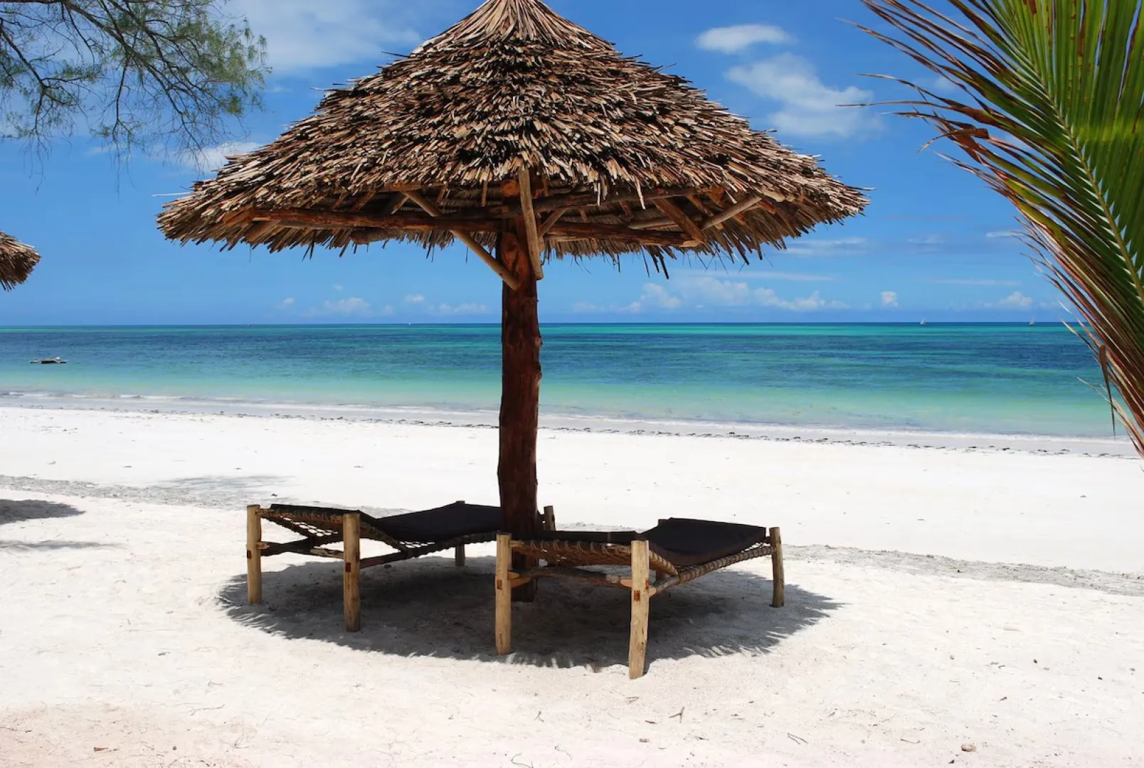 Jaz Adonia Beach Resort (Jun 3, 2026 to Jun 29, 2026) | XL Boland Travel 