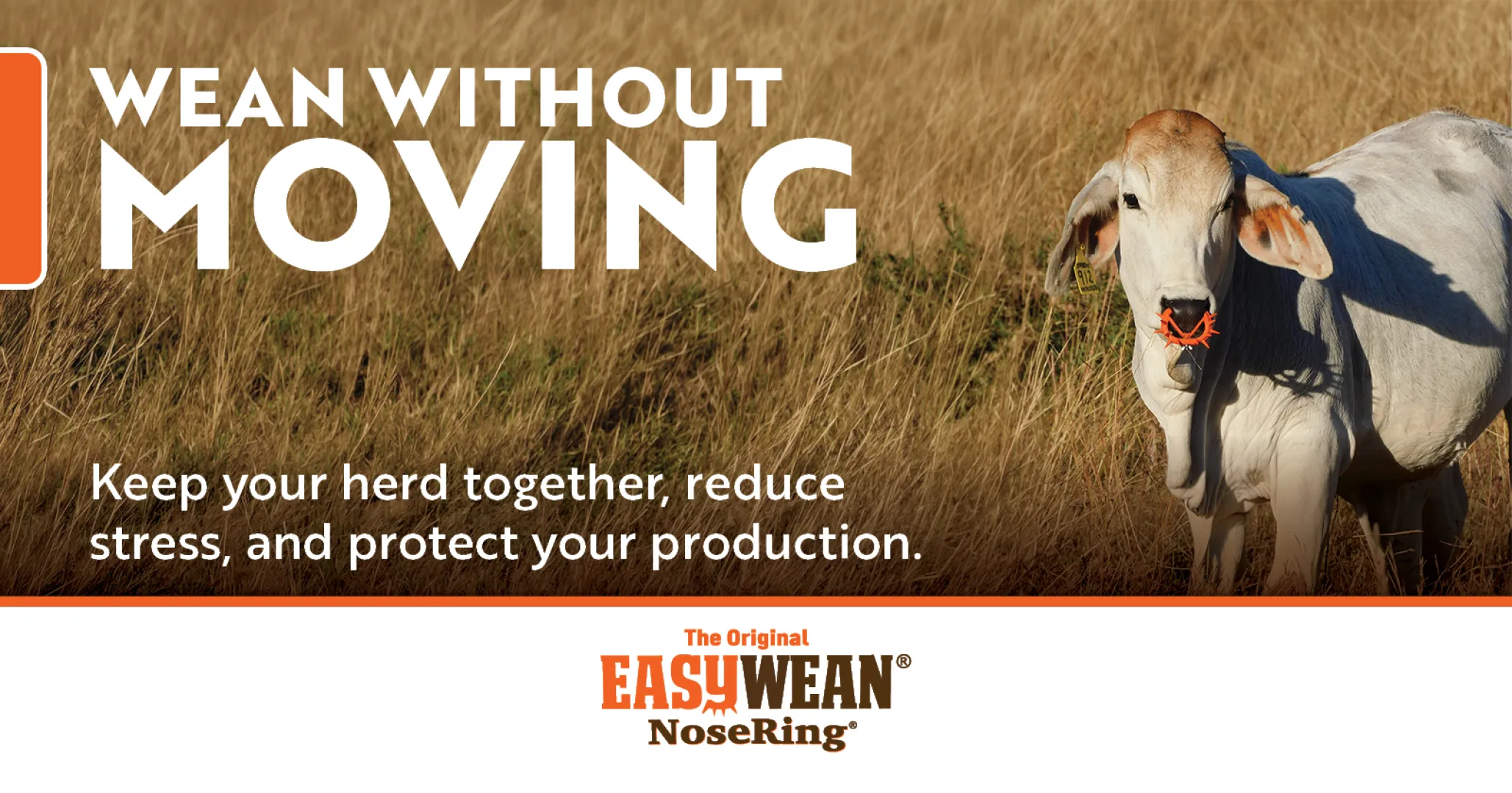 Wean Without Moving | EASYWEAN® NoseRing®