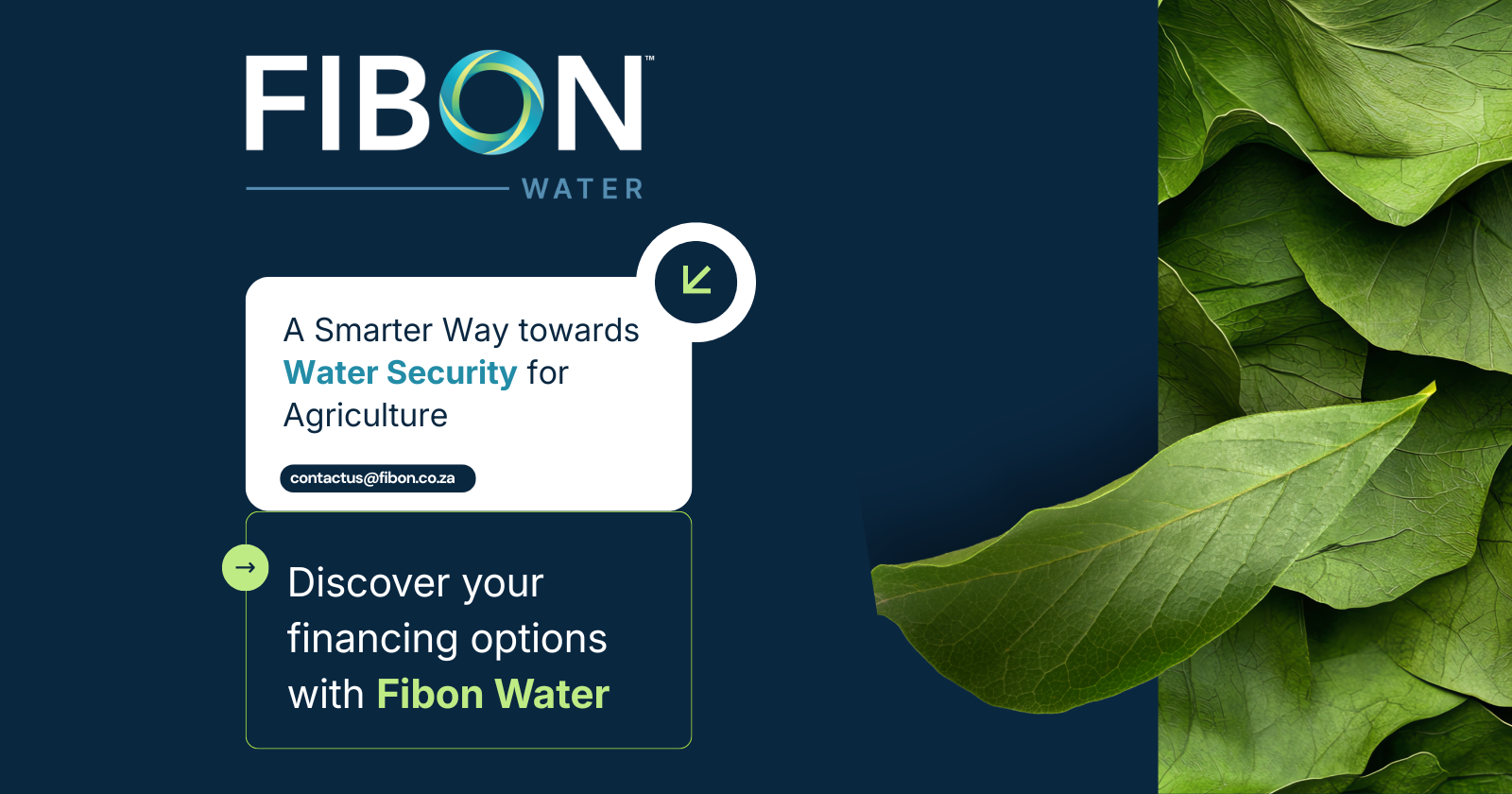 Discover Innovative Financing for Farm Water Security | Fibon 