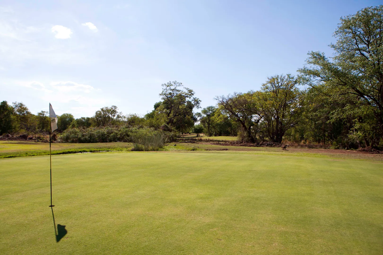 Elephant Hills Resort (Apr 10, 2026 to Jun 22, 2026) | XL Boland Travel 