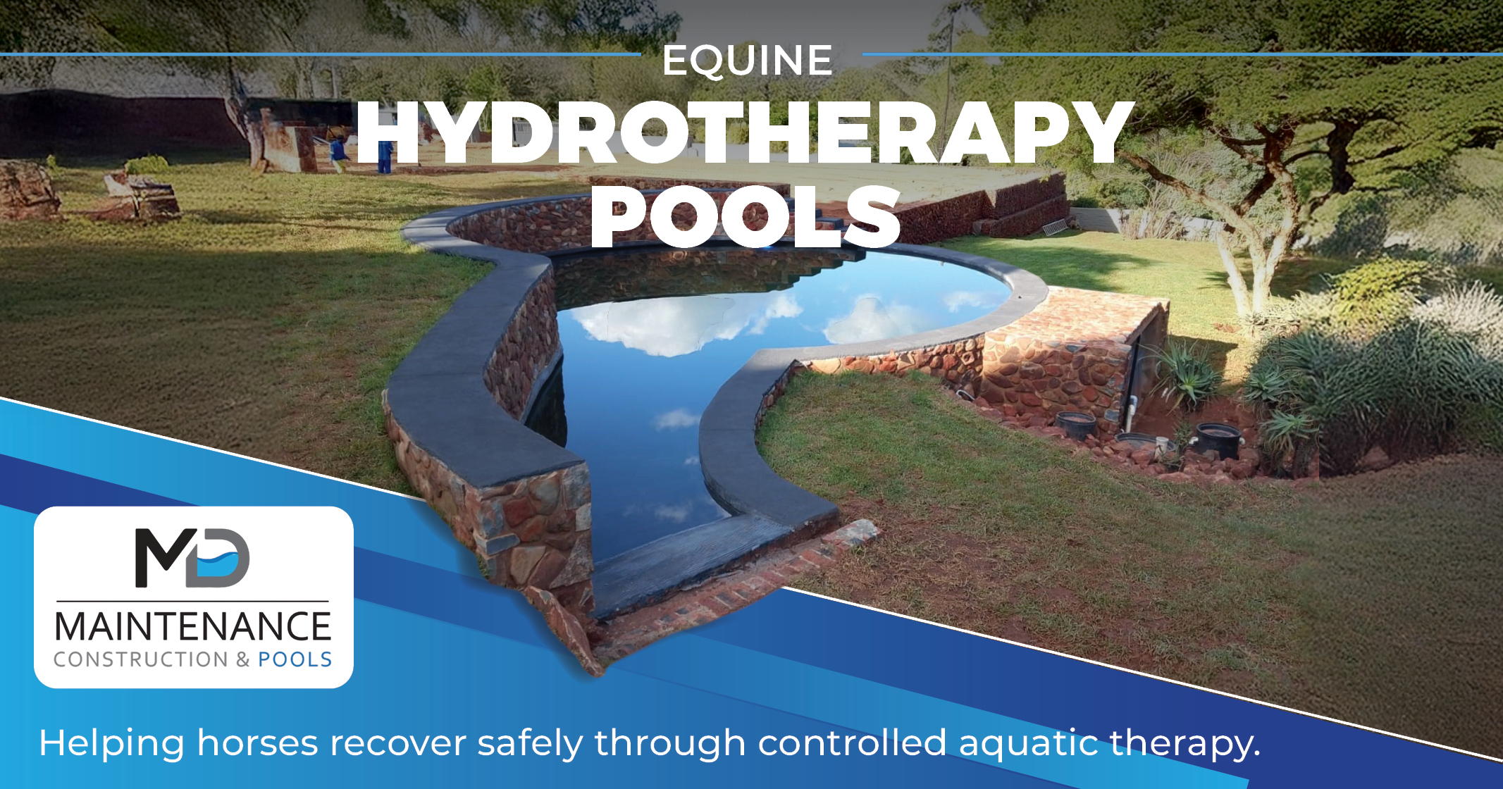 Helping horses recover safely through controlled aquatic therapy | MD Maintenance, Construction & Pools