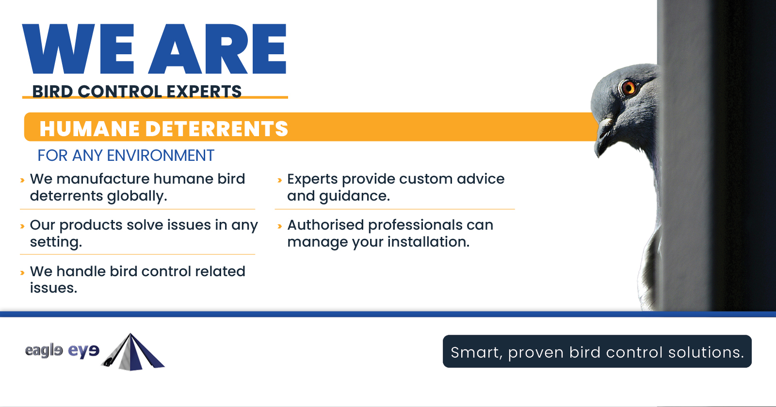 Humane Bird Control Solutions | Eagle Eye Bird Control